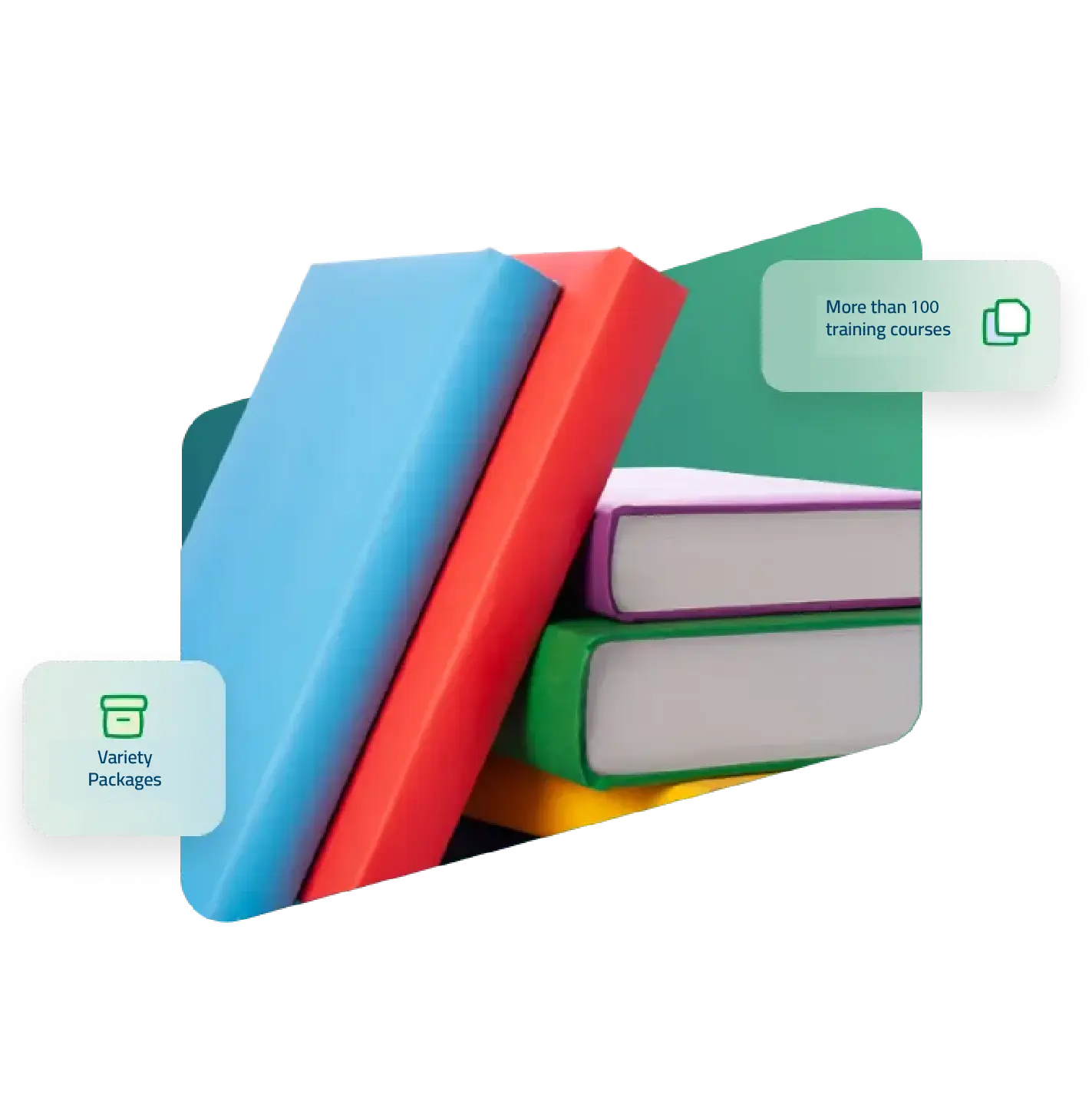 curriculum